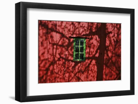 Barn, Red, Green Window, Shadow of a Tree-Uwe Steffens-Framed Photographic Print