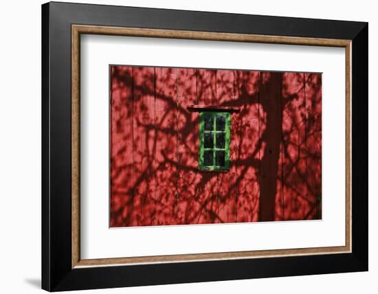 Barn, Red, Green Window, Shadow of a Tree-Uwe Steffens-Framed Photographic Print