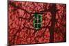 Barn, Red, Green Window, Shadow of a Tree-Uwe Steffens-Mounted Photographic Print