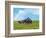 Barn Scene II-James McLoughlin-Framed Photographic Print