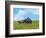 Barn Scene II-James McLoughlin-Framed Photographic Print