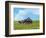 Barn Scene II-James McLoughlin-Framed Photographic Print