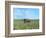 Barn Scene III-James McLoughlin-Framed Photographic Print