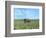 Barn Scene III-James McLoughlin-Framed Photographic Print