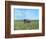 Barn Scene III-James McLoughlin-Framed Photographic Print