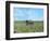 Barn Scene III-James McLoughlin-Framed Photographic Print