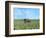 Barn Scene III-James McLoughlin-Framed Photographic Print