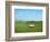 Barn Scene VI-James McLoughlin-Framed Photographic Print