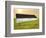 Barn Scene XIV-James McLoughlin-Framed Photographic Print