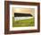 Barn Scene XIV-James McLoughlin-Framed Photographic Print