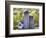 Barn Scene XV-James McLoughlin-Framed Photographic Print