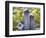 Barn Scene XV-James McLoughlin-Framed Photographic Print