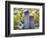 Barn Scene XV-James McLoughlin-Framed Photographic Print