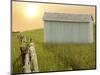 Barn Scene XVII-James McLoughlin-Mounted Photographic Print