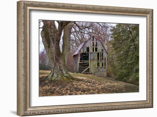 Barn Shell-Lori Hutchison-Framed Photographic Print