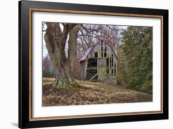 Barn Shell-Lori Hutchison-Framed Photographic Print