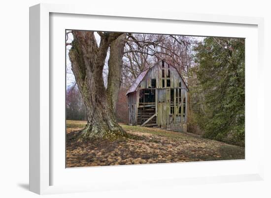 Barn Shell-Lori Hutchison-Framed Photographic Print