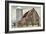 Barn Silo - Abilene-Mark Chandon-Framed Art Print