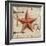 Barn Star I-Paul Brent-Framed Art Print