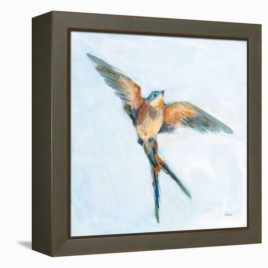 Barn Swallow Flight I-Sue Schlabach-Framed Stretched Canvas