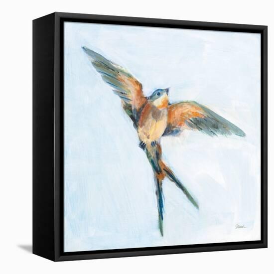 Barn Swallow Flight I-Sue Schlabach-Framed Stretched Canvas