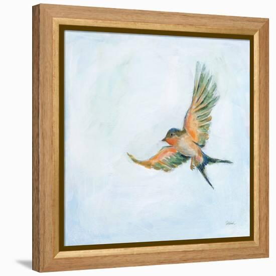 Barn Swallow Flight III-Sue Schlabach-Framed Stretched Canvas