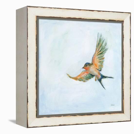 Barn Swallow Flight III-Sue Schlabach-Framed Stretched Canvas