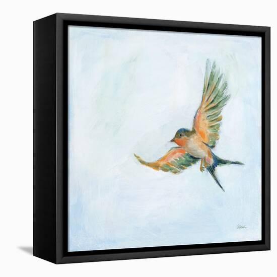 Barn Swallow Flight III-Sue Schlabach-Framed Stretched Canvas