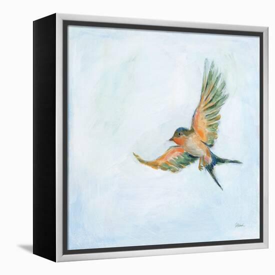 Barn Swallow Flight III-Sue Schlabach-Framed Stretched Canvas