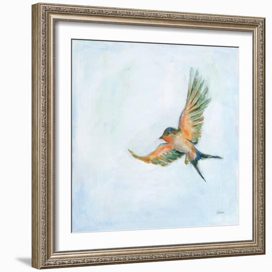 Barn Swallow Flight III-Sue Schlabach-Framed Art Print