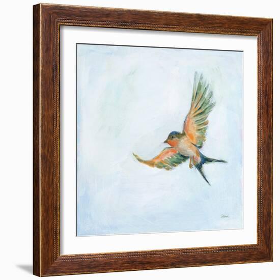 Barn Swallow Flight III-Sue Schlabach-Framed Art Print