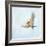 Barn Swallow Flight III-Sue Schlabach-Framed Art Print