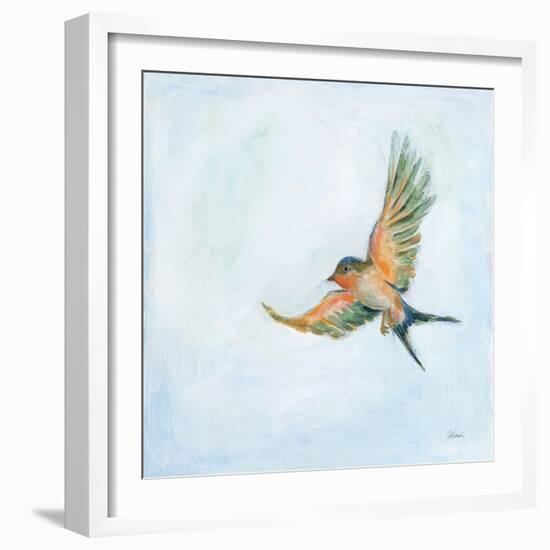 Barn Swallow Flight III-Sue Schlabach-Framed Art Print