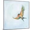 Barn Swallow Flight III-Sue Schlabach-Mounted Art Print