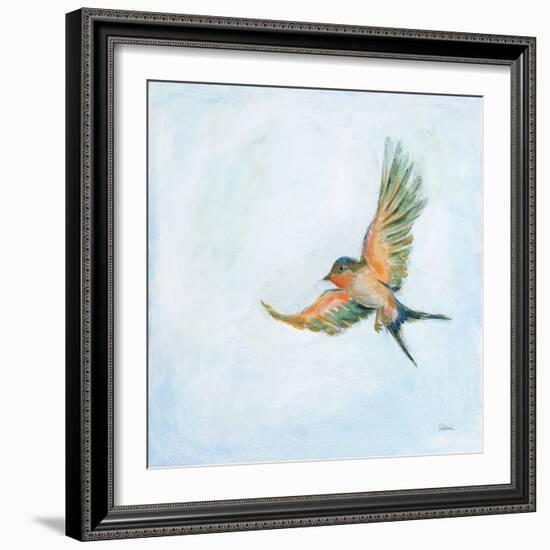 Barn Swallow Flight III-Sue Schlabach-Framed Art Print