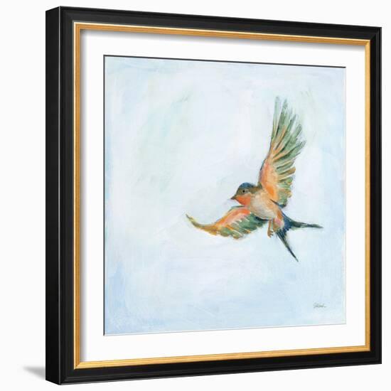 Barn Swallow Flight III-Sue Schlabach-Framed Art Print