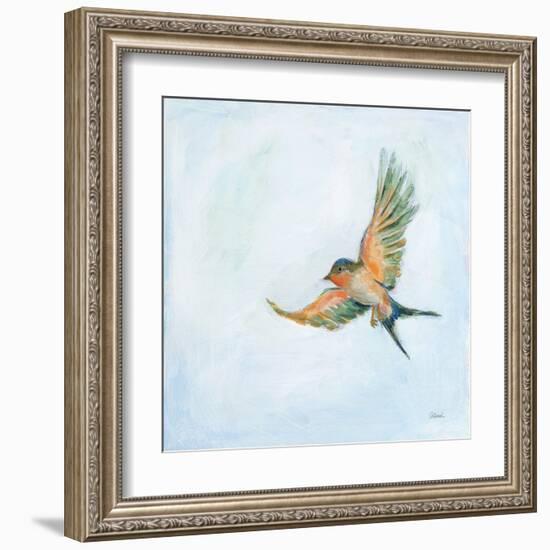 Barn Swallow Flight III-Sue Schlabach-Framed Art Print