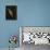 Barn Swallow, Pennsylvania, USA-Joe & Mary Ann McDonald-Framed Premier Image Canvas displayed on a wall