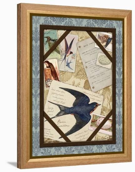 Barn Swallow-Kate Ward Thacker-Framed Premier Image Canvas