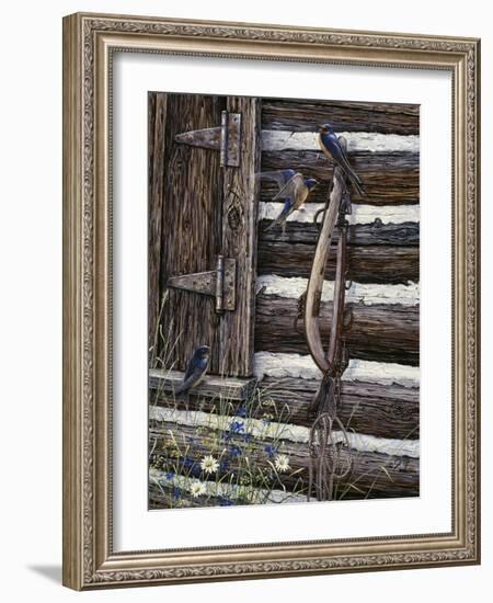 Barn Swallows-Jeff Tift-Framed Giclee Print