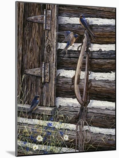 Barn Swallows-Jeff Tift-Mounted Giclee Print
