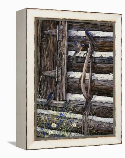 Barn Swallows-Jeff Tift-Framed Premier Image Canvas