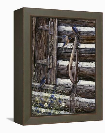 Barn Swallows-Jeff Tift-Framed Premier Image Canvas