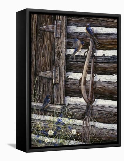 Barn Swallows-Jeff Tift-Framed Premier Image Canvas