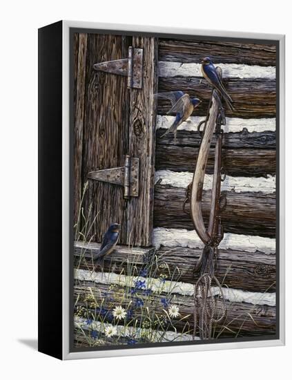 Barn Swallows-Jeff Tift-Framed Premier Image Canvas