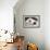 Barn with Piglet-Zhen-Huan Lu-Framed Giclee Print displayed on a wall