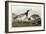 Barnacle Geese-John James Audubon-Framed Giclee Print