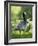 Barnacle Goose Standing in a Green Field. Germany, Bavaria, Munic-Martin Zwick-Framed Photographic Print