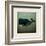 Barnacle Whale with Border-Ryan Fowler-Framed Art Print