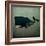 Barnacle Whale-Ryan Fowler-Framed Art Print